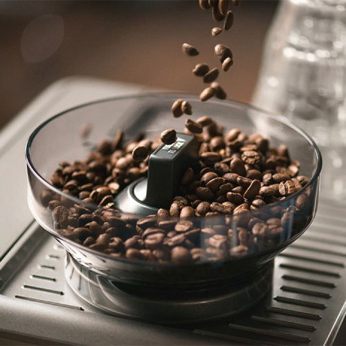 Willoughby's Coffee & Tea: Breville Barista Express Espresso
