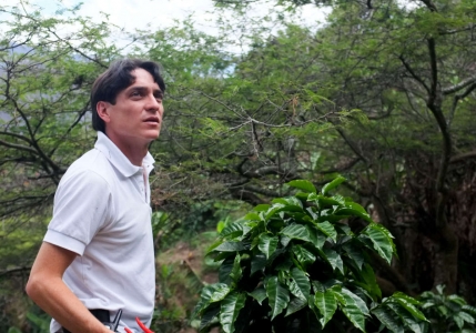 Ecuador La Papaya Rum Barrel Natural