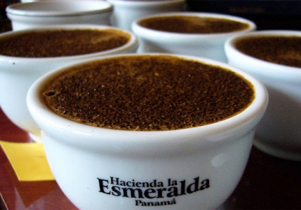 Panama Esmeralda Private Collection Geisha Washed